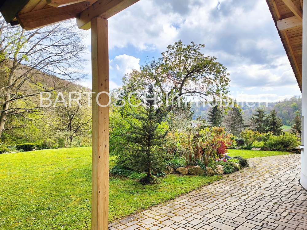 Blick von Terasse in den Garten