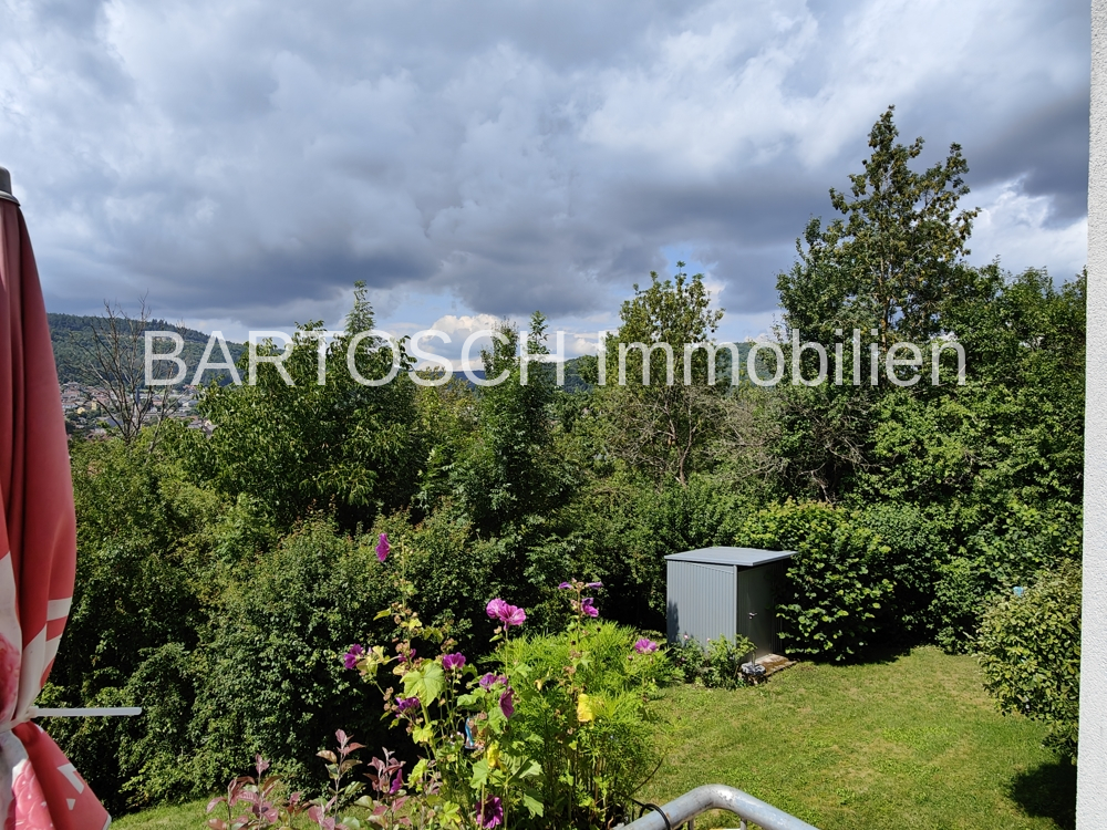 IMG20250801141541