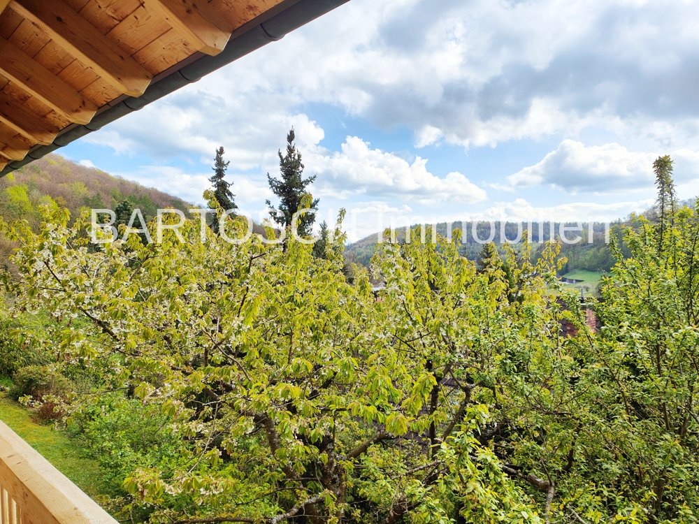 Ausblick links vom Balkon