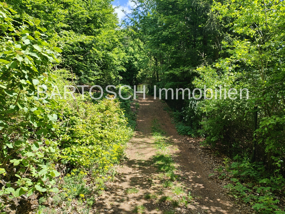 Weg zum Haus2
