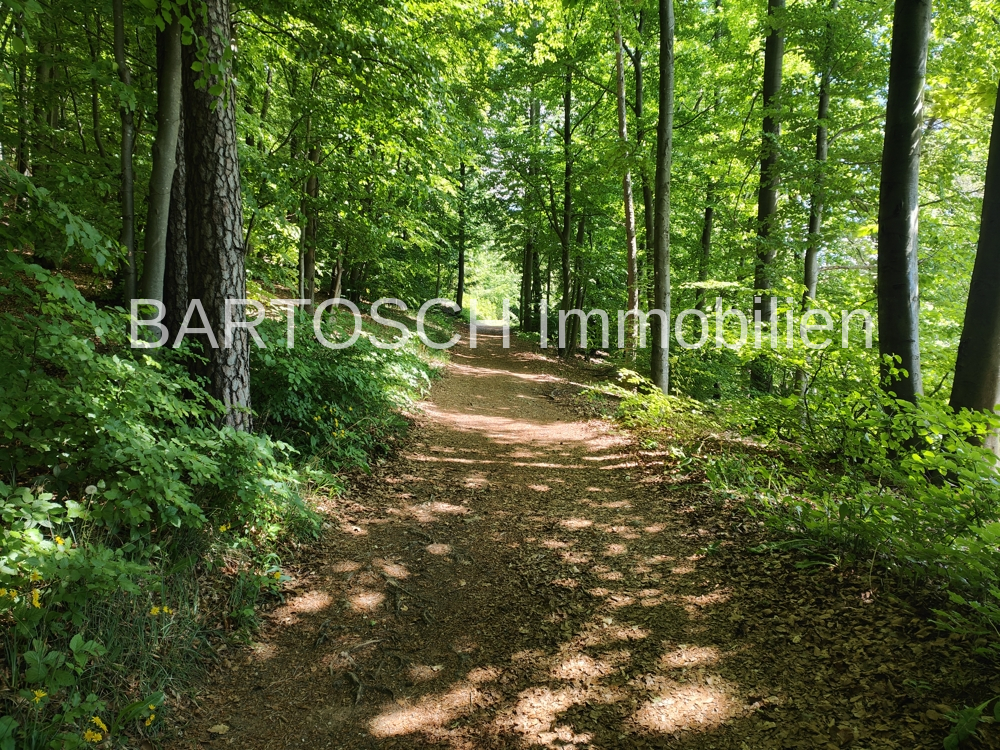 Weg zum Haus1