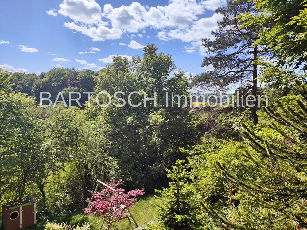 Blick vom Balkon1