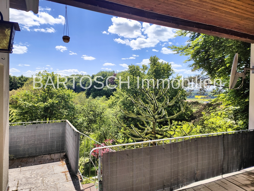 Blick von überdachter Terrasse1