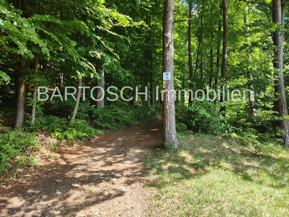 Weg zum Haus