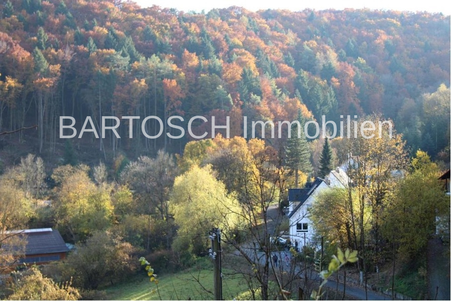 Herbst in Egloffstein 